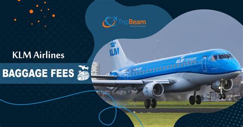 klm's baggage policy and fees